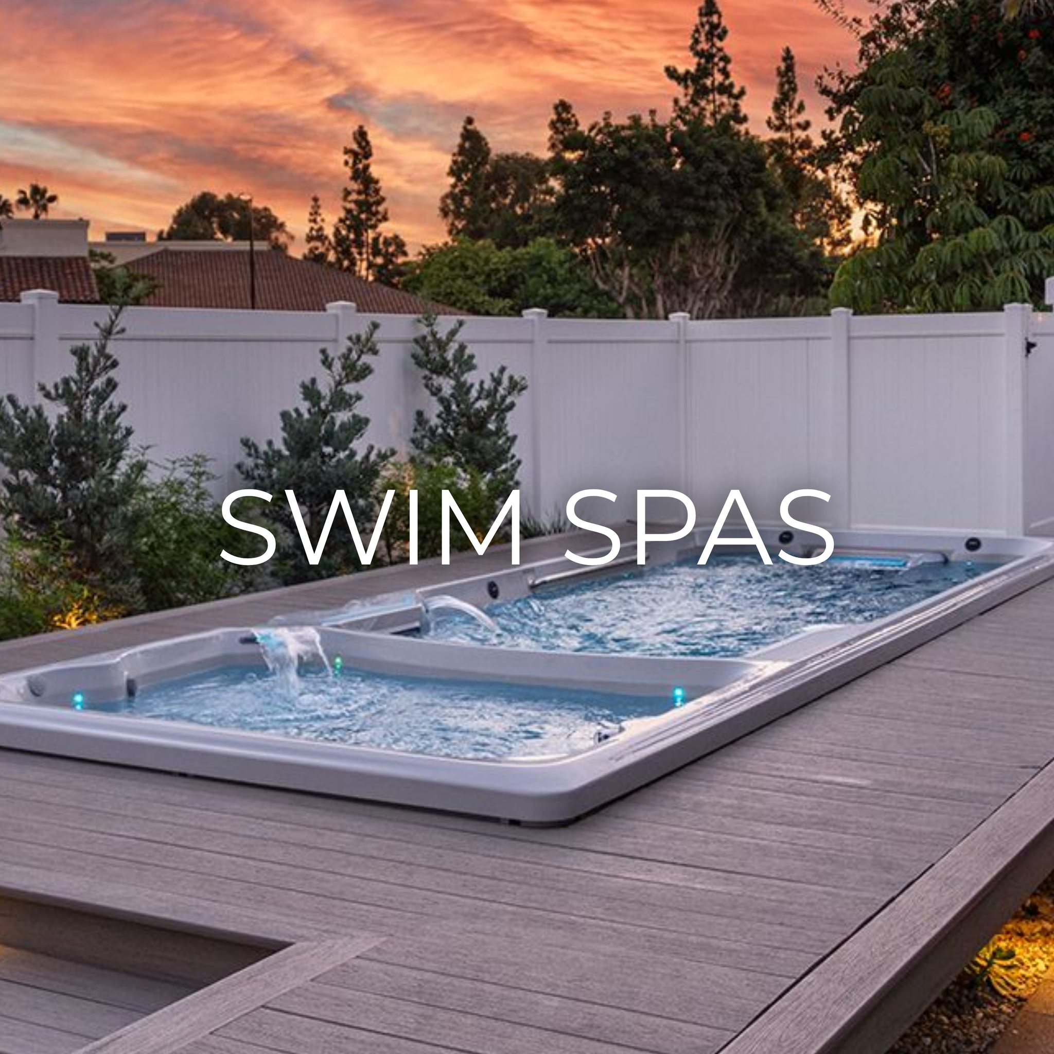 Swim Spas