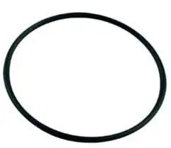 Large O Ring to G\fit Nozzle Assy for Mini Jet Bodies Waterway Plastics