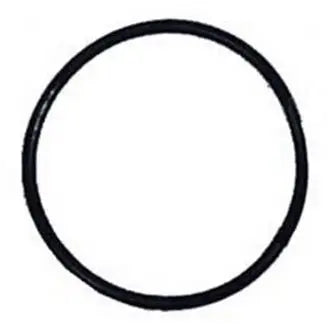 O-ring, Valve Adapter Pentair