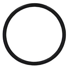 Diffuser O Ring Only (for Champion Pump)
