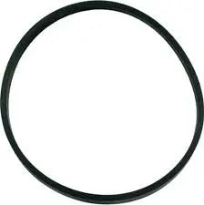 Hayward Ma x Flo Pump Lid O Ring (Sp x-0125T) Hayward