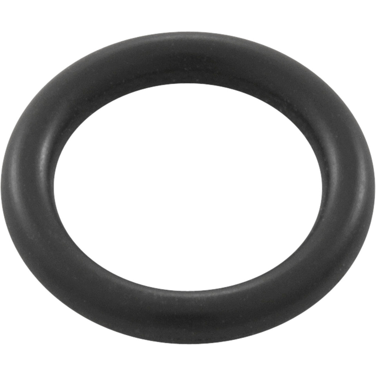 Drain Plug O-ring for E x Ecutive Pump