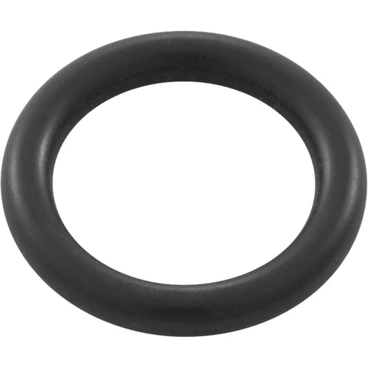 Drain Plug O-ring for E x Ecutive Pump Waterway Plastics
