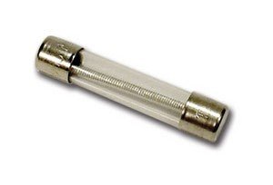 Time Delay Fuse 10 AMP, 250V (Gecko)