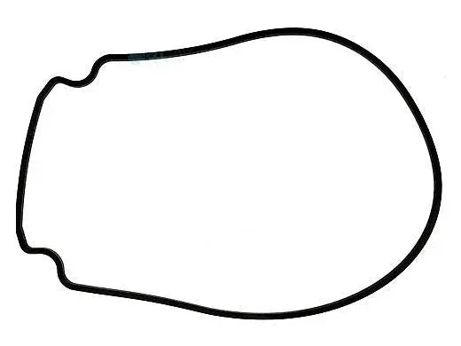 Seal Plate Gasket, Intelliflo I1 & I2 Pentair